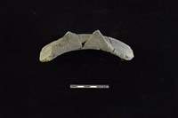 陶罐藏品圖，第2張